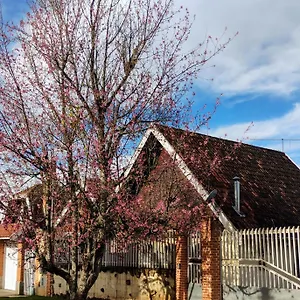 https://casa-chale-campos-do-jordao.camposdojordaohotels.net